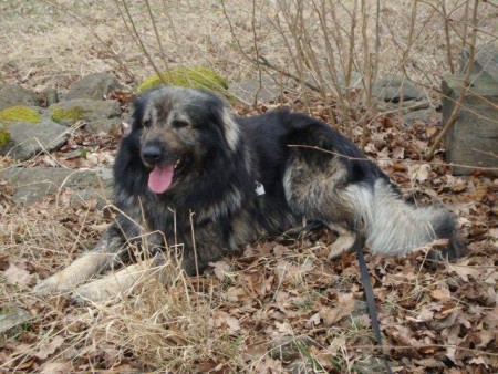 Eso peso je unavený